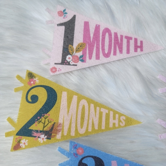 2/$20 Little Artist Milestone Pennants - Picture 8 of 15